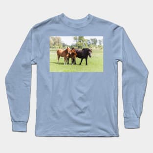 Three horses on pasture looking at camera Long Sleeve T-Shirt